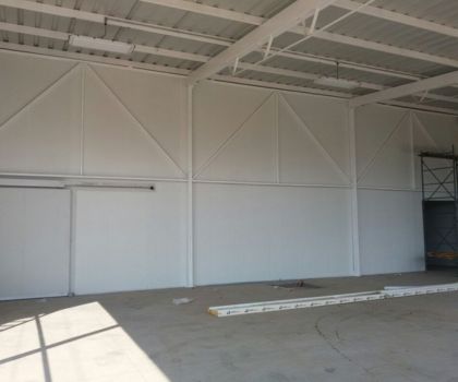 Aguacate Image3